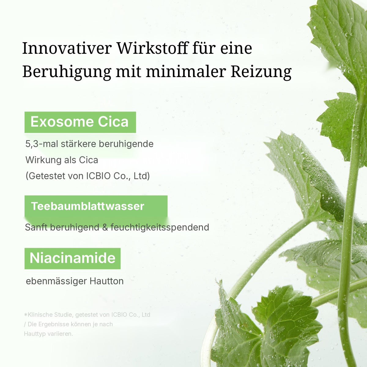 Exosome Cica Beruhigende Toner Pads